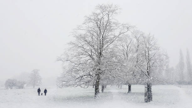 istock people in walking  the park in the snow 2196256985