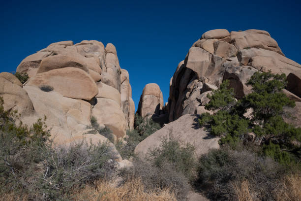 istock Rocks at Joshua Tree National Park 2196258227