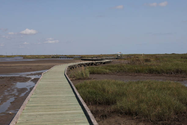istock Sea Rim State Park Boardwalk, Texas 2196261996