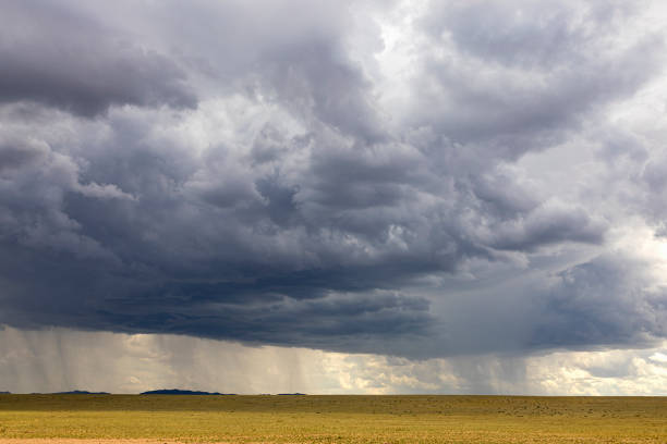 istock Landscape with big clouds and rain in the steppe 2196262470