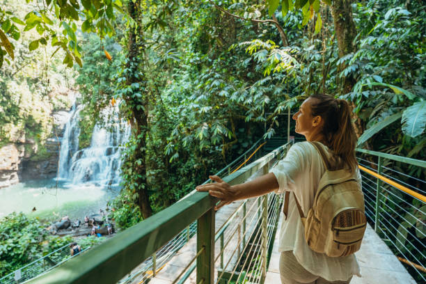 istock Woman Admiring Waterfall from Jungle Bridge 2196264252