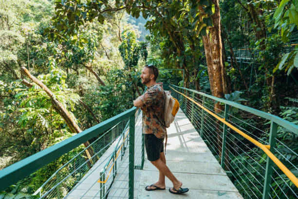 istock Man Enjoying Scenic View on Jungle Walkway 2196264256