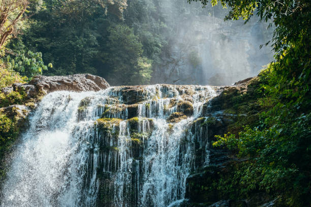 istock Cascading Waterfall in Lush Green Forest 2196264278