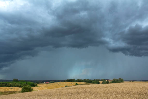 istock Storm and Rain Approaching Over Wheat Fields in Masuria, Poland 2196266131