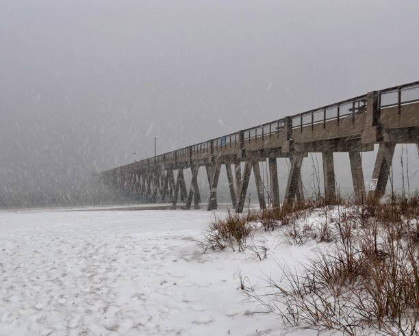 istock Florida beach pier meets heavy snowfall 2196267989