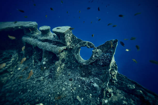 An underwater perspective of a sunken shipwreck, captured from directly beneath the structure. The light filtering from the surface adds a dramatic silhouette, revealing the haunting beauty and mystery of this submerged relic in the deep sea.