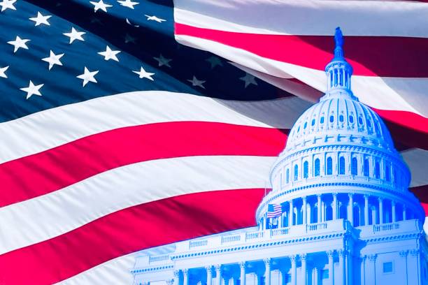 istock Democrat Politics & American Flag 2196273012