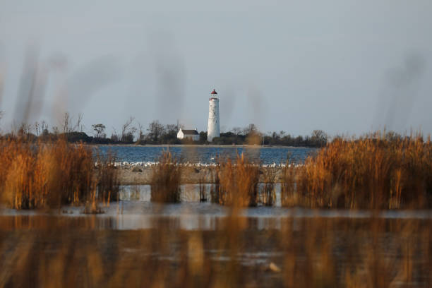 istock Lighthouse on Lake Huron in Autumn 2196276212