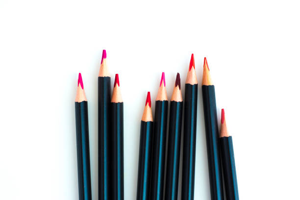 Group of Sharp Red and Pink Colored Pencils, white background, copy space.