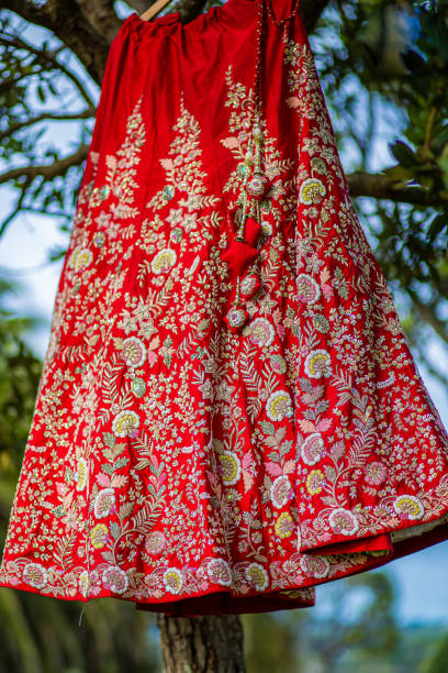 istock Indian Hindu bride's wedding outfit 2196279733