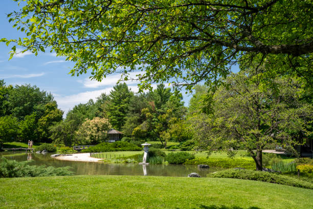 Montreal, Canada - July 5, 2024. Summer scenery of Japanese Garden in Montreal Botanic Garden, Montreal, Quebec, Canada