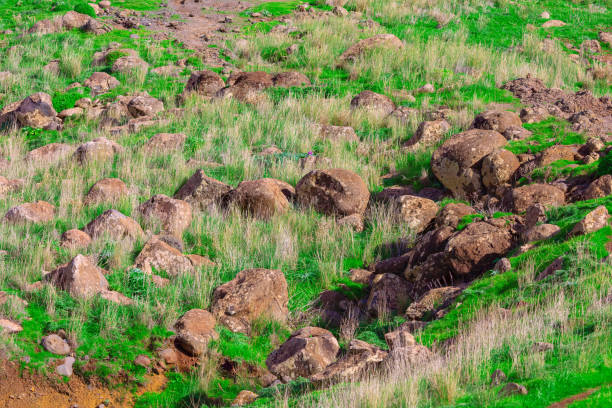 Rocky terrain with numerous large boulders scattered across a grassy area. Combination of rocks and grass creates natural landscape that is indicative of hillside or field with geological features