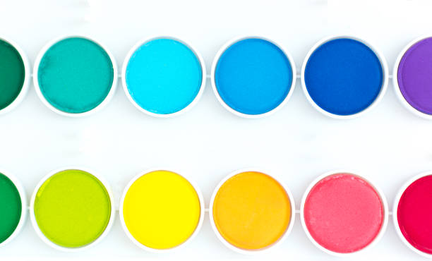 Multicolored Watercolor Paints on White Background Close-Up