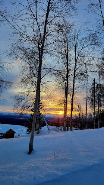istock Continuous Sunrise and Sunset during Winter in Alaska 2196280531