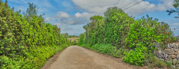 Straight road to horizon with utility pole in Guam