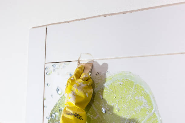 istock Laying ceramic tiles. The craftsman fills the tile joints with grout using a rubber spatula 2196294385