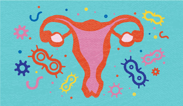 istock Women abstract Reproductive System Healthcare and Science bacteria microbiota concept 2196300419