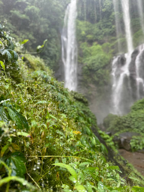istock Sekumpul Waterfall in Bali 2196300753