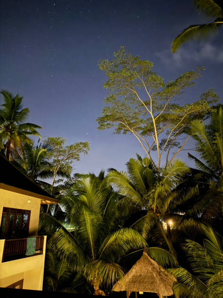istock Night sky under the stars of Bali 2196302646