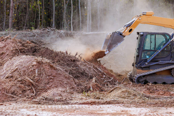 istock Excavator clearing land in forested area during construction project in daylight 2196308486