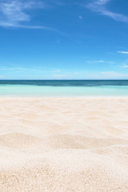 istock Empty tropical sand beach with turquoise sea and sunny blue sky copy space scene 2196311175