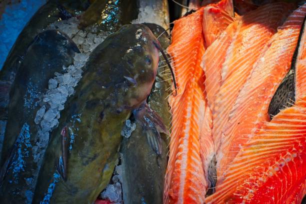 istock Fresh Seafood Display with Catfish and Salmon 2196311785