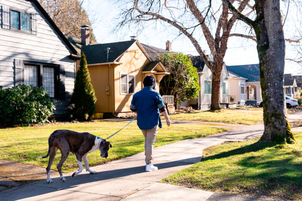 istock A Multi Racial Gay Man Walking his dog 2196315285