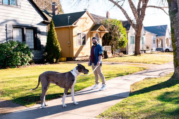 istock A Multi Racial Gay Man Walking his dog 2196315286