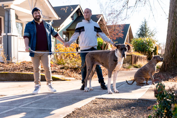 istock Two Affectionate Gay Men Walking With Their Dogs 2196315291