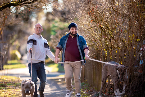 istock Two Affectionate Gay Men Walking With Their Dogs 2196315296
