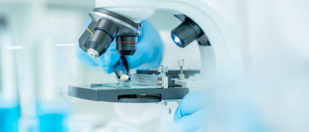 istock Scientist analyze biochemical samples in advanced scientific laboratory. Medical professional use microscope look microbiological developmental of viral. Biotechnology research in science lab. 2196317072