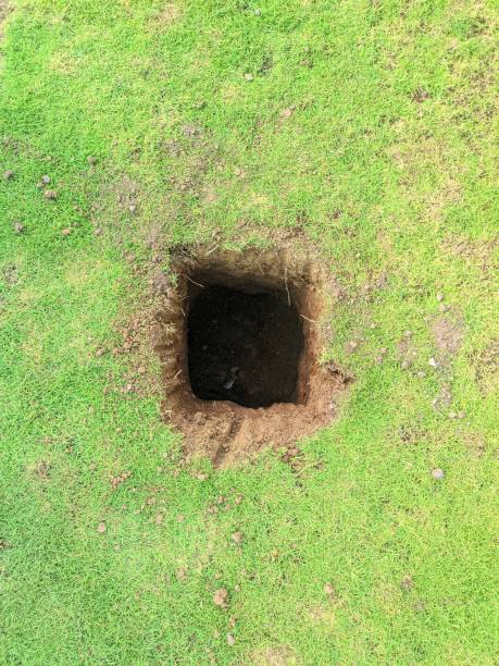 istock square hole among the green grass in a park 2196323549
