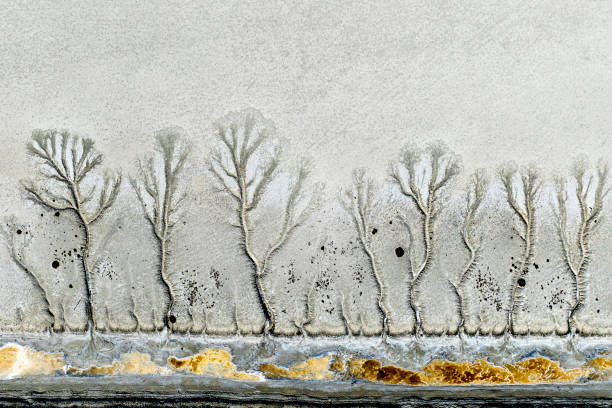 A lake bottom that is dehydrated, cracked and discolored as a result of global warming, a dead lake whose red and cracked surface has destroyed natural life and animals.global climate crisis,top-down photography with droneabstract tree and forest figures emerging in salt lakes, colored waters such as yellow, red, green, brown, extinct plant species,Aerial View