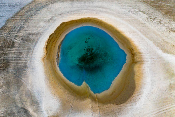 istock global climate crisis,top-down photography with droneabstract tree and forest figures emerging in salt lakes, colored waters such as yellow, red, green, brown, extinct plant species,Aerial View 2196326055