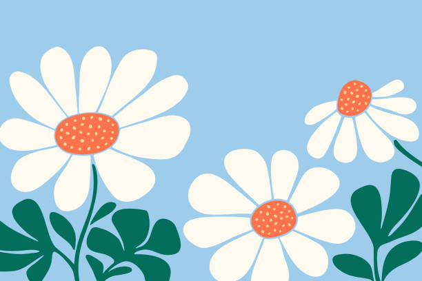 Hand Drawn Daisy Flowers and Leaves Background Hand drawn daisy flowers and leaves background. Spring background. cute simple drawings pictures stock illustrations