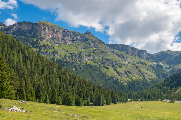 Beautiful valley with a meadow and forest and mountains in the dolomites