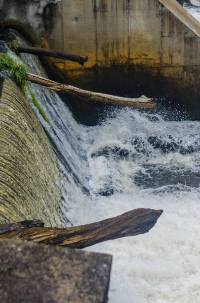 istock Powerful waterfall rushing over a dam with logs and moss-covered concrete 2196334874