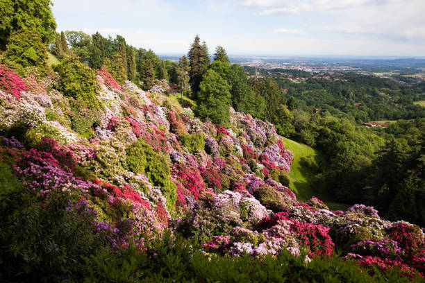 On a beautiful hillside surrounding the city of Biella and the Oropa mountain range is a wonderful public park donated by entrepreneur Felice Piacenza, the fabric of which still remains in the vicinity today. The park is filled with trees and plants from all over the world and is magnificent in every season. In late May there is the famous blooming of the rhododendrons.