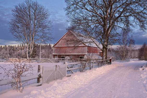 istock Fairytale winter landscape in Skaraborg Sweden one day before Christmas 2196337613