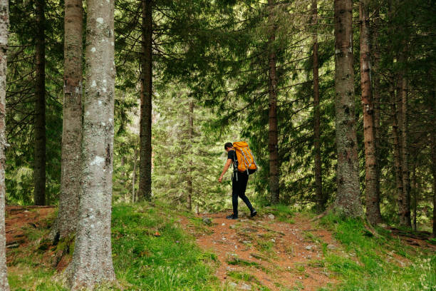 istock rear young male with a backpack hiking on trail up peaceful lush high elevation green forest. 2196337717