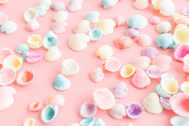 istock Pastel colored seashells on a pink background. Cute summer background. 2196341639