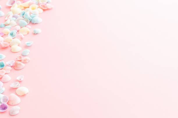 istock Pastel colored seashells on a pink background. Cute summer background. 2196341657