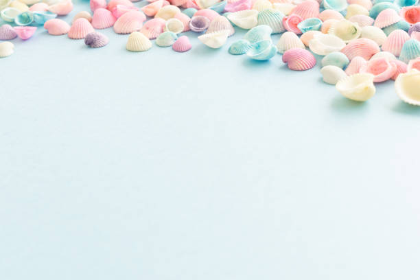 Seashells, summer, pastel colors, light blue, background, frame, copy space, cute summer background