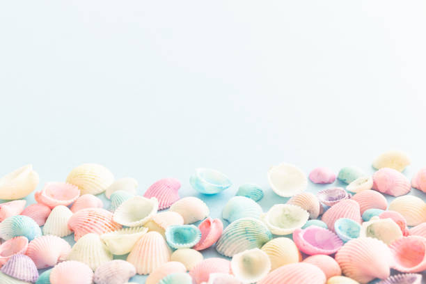 Seashells, summer, pastel colors, light blue, background, frame, copy space, cute summer background