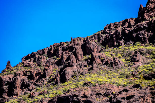 istock Volcanic Rock Basaltic Formation in Gran Canaria 2196349600