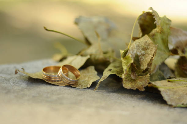Wedding rings on autumn leaves. Wedding in autumn concept. Love in autumn.