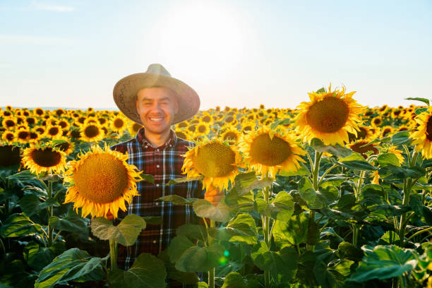 istock glad young farmer man stands in sunflowers and smiling. 2196355808