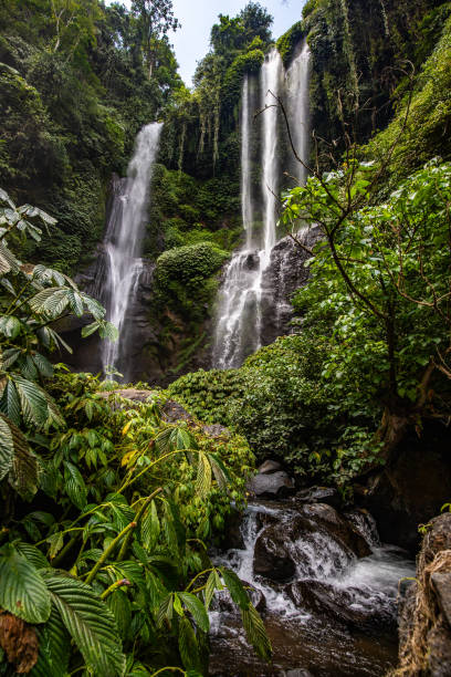istock The Sekumpul Waterfall, a large waterfall in the middle of the jungle that falls into a deep green gorge. Trees and tropical plants at Bali's highest waterfall 2196362425