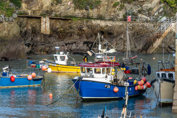 Newquay, UK. 25 January 2025. Fishing trawlers in Newquay Harbour in Cornwall