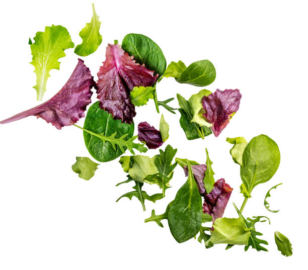 istock Falling Spring mix leaves isolated on white. Explosion of fresh salad leaves. Flying arugula, lettuce, spinach and red beets leaf in the air. Creative layout 2196372084